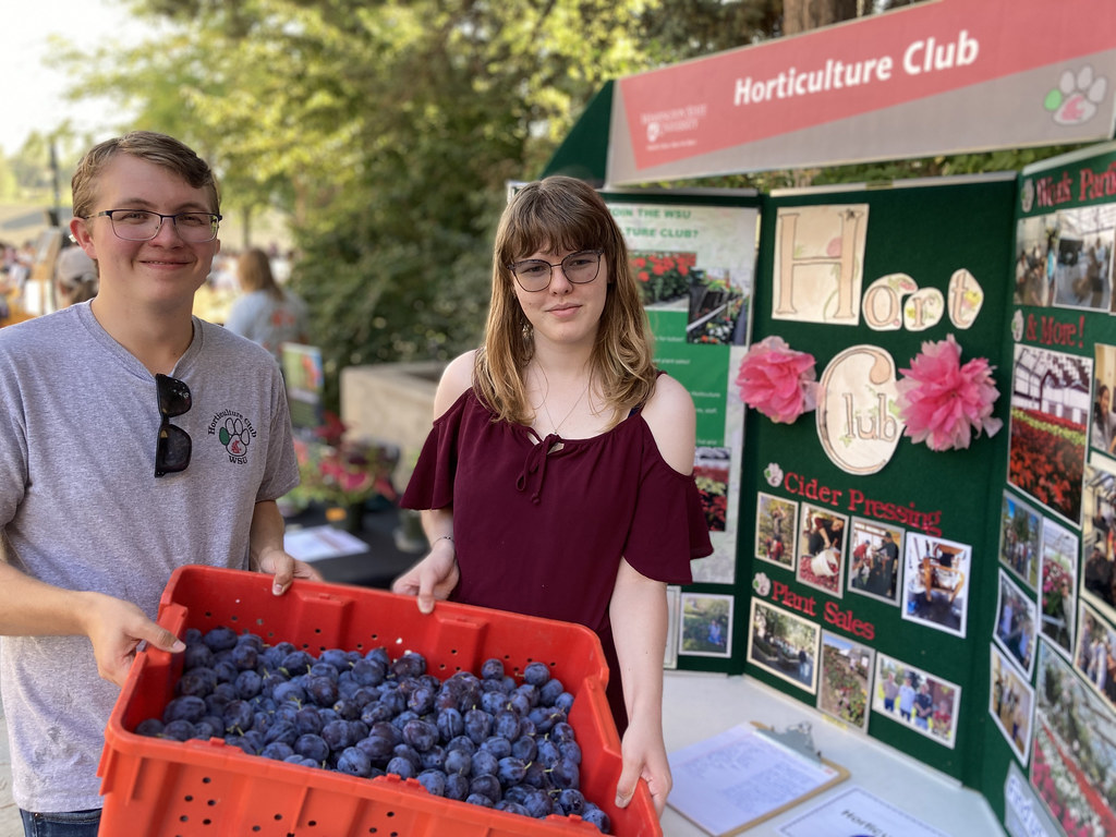 Two students hold up a large container of blueberries in front of the Horticulture Club poster at Fall Festival 2024.