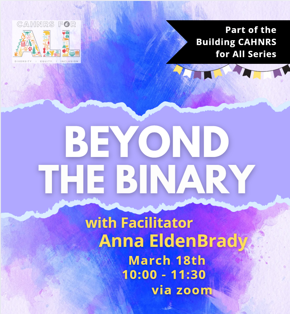 Flyer in the non-binary flag colors with text "Beyond the Binary with facilitator Anna EldenBrady"