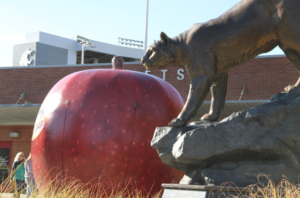The cougar statue with a giant cosmic crisp apple behind it.
