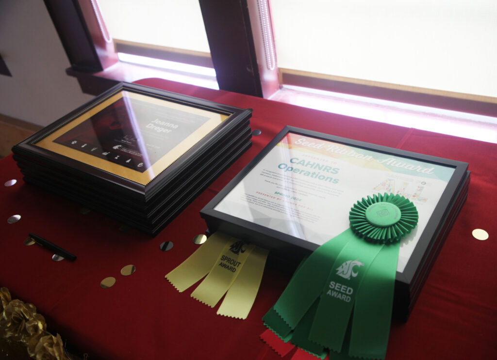 The awards are stacked neatly, waiting to be given to their recipients as the awards ceremony kicks off.