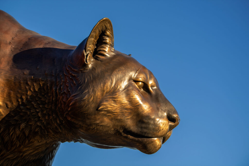 The cougar statue head.
