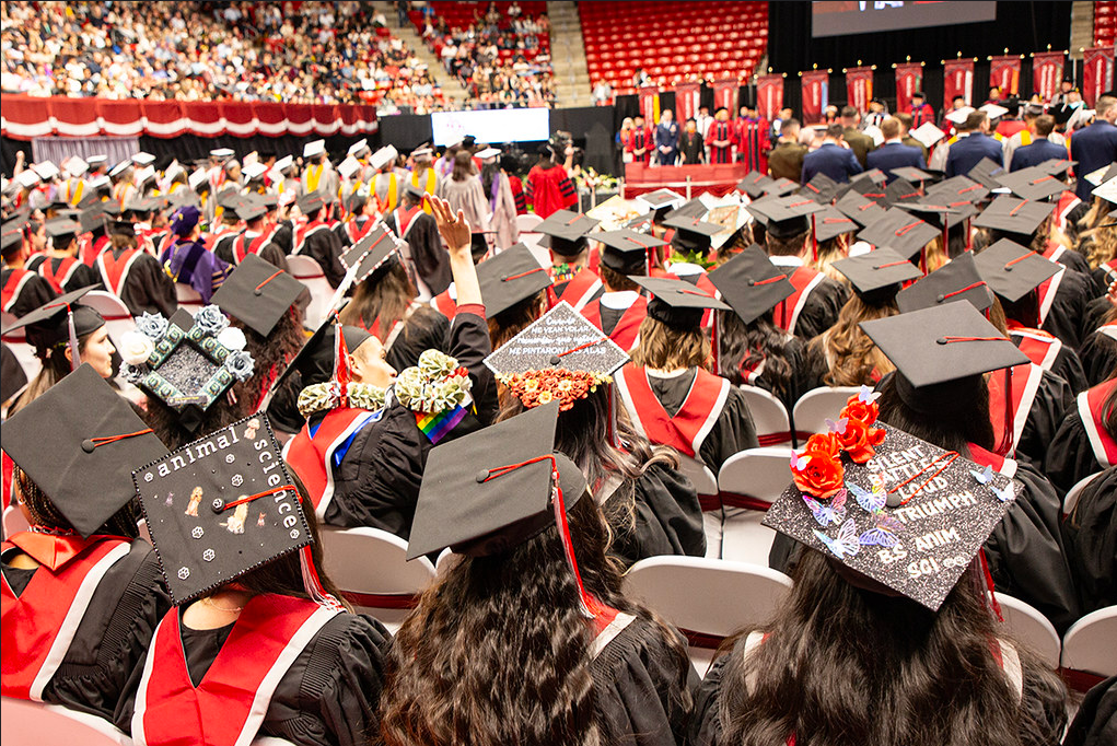 A group of CAHNRS students' hand-decorated beatiful graduation hats