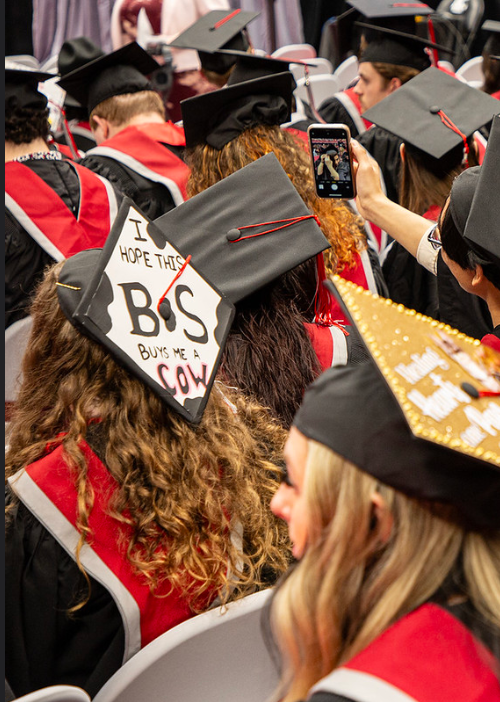 Students with decorated graduation hats sit at graduation. One hat says "I hope this BS buys me a cow".