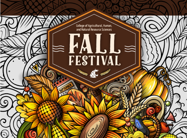 A coloring-book style poster for Fall Festival, featuring sunflowers, pumpkins, and wheat harvest references.