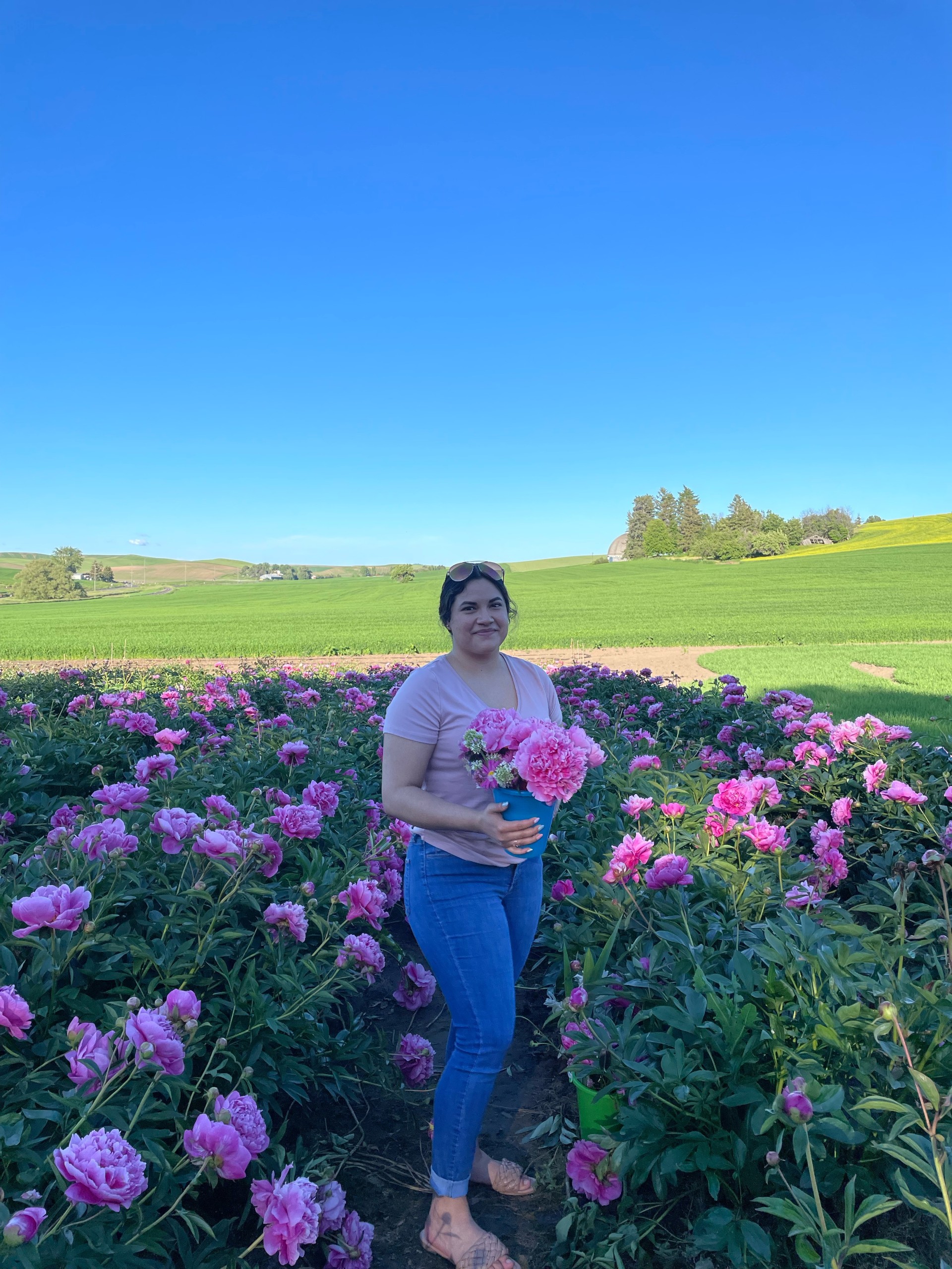 Mariana Castro holds flowers in a field of flowers.