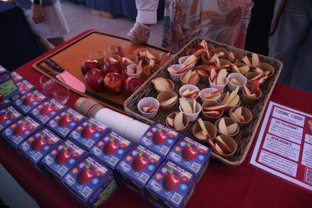 Cosmic crisp apples sit out sliced, never browning, waiting to be sampled at Crave Festival.