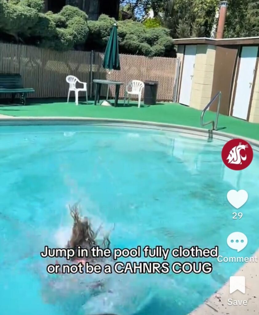 Emily Libey's hair is the last part of her submerging into the pool as the caption reads "jump in the pool fully clothed or not be a CAHNRS coug", a snapshot of what's on the CAHNRS tiktok