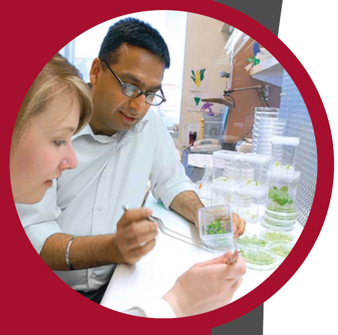 An experimental lab setting where a professor teaches plant testing one-on-one.