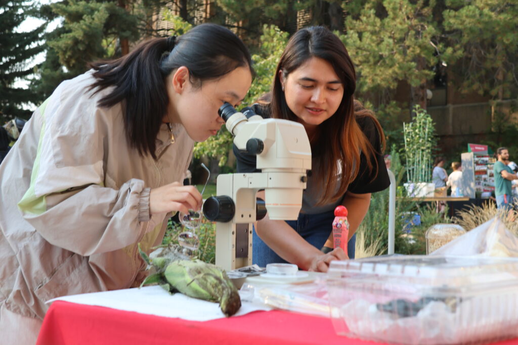A booth at fall festival includes a microscope that attendees are able to look through
