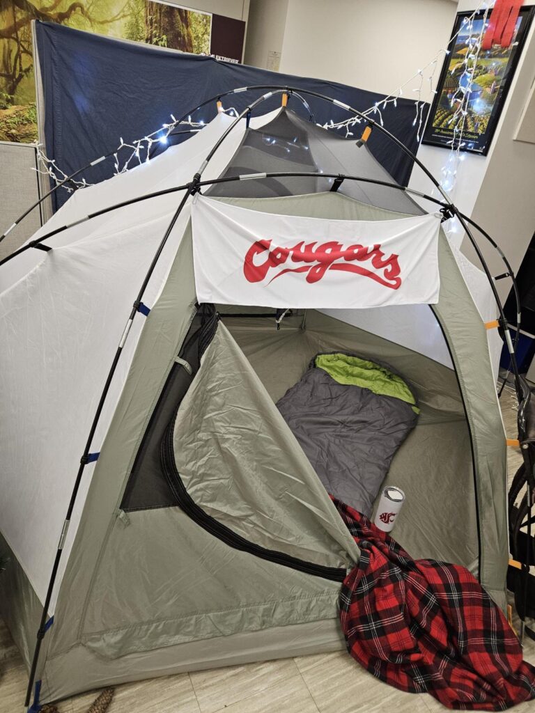 night lights adorn the Cougars tent in the middle of the office, with a plaid blanket and a cougarhead tumbler inside.