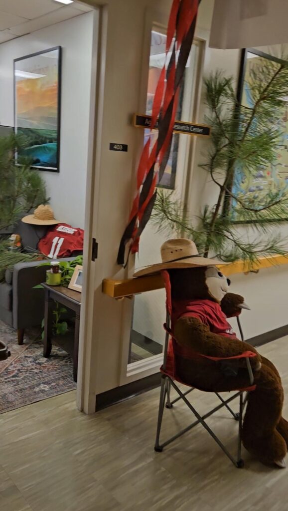 A huge sloth plushie in the office woods