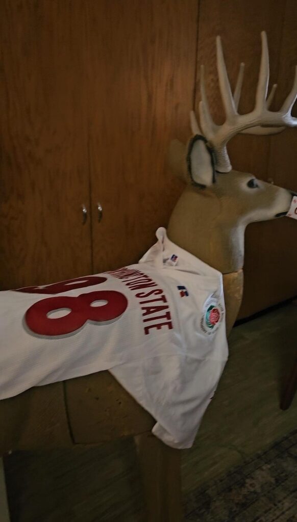 A deer buck wears a Washington State football jersey