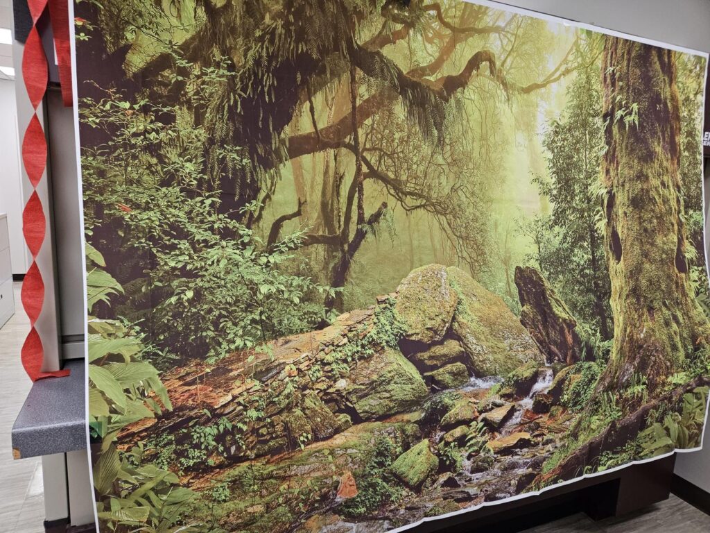 A forest background tarp in the office