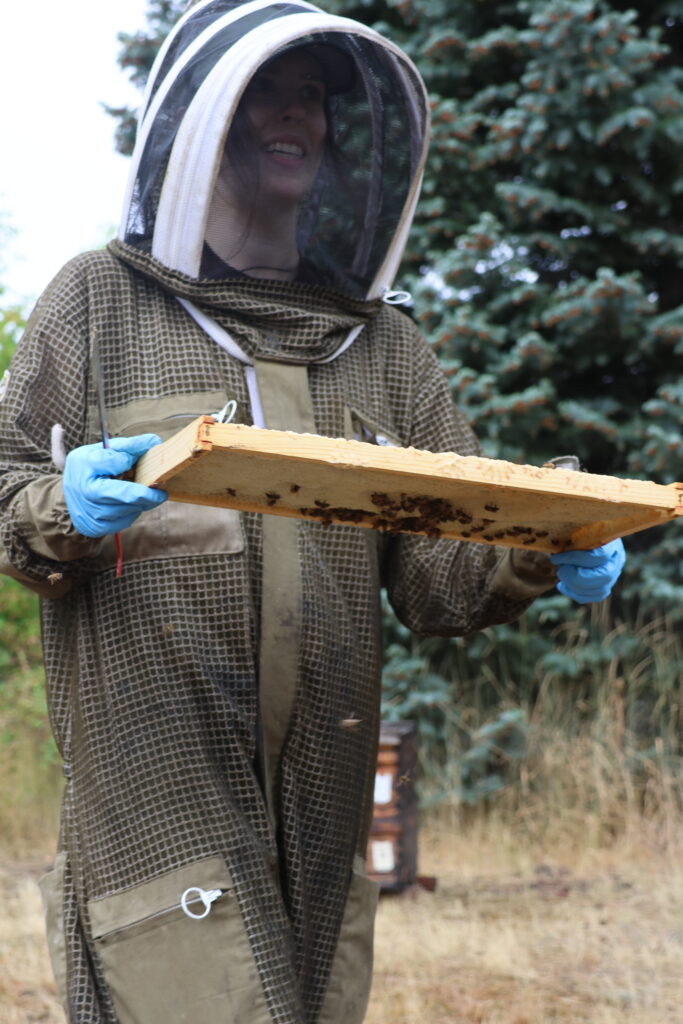 An Entomology student in protective gear carries a board of honeycombs