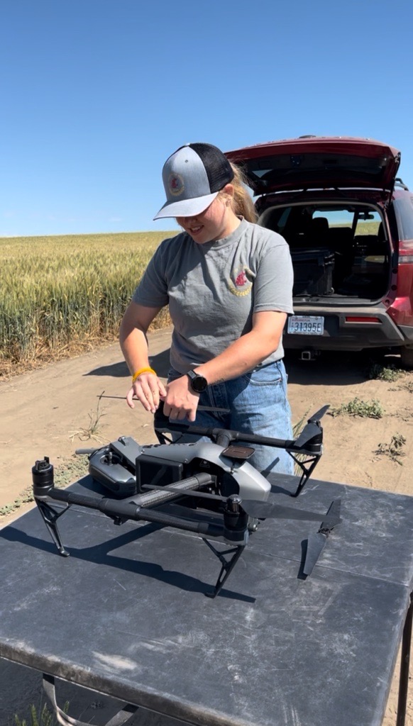 College student standing in a wheat field, with a table in front of her, putting drone propellors on a drone. 