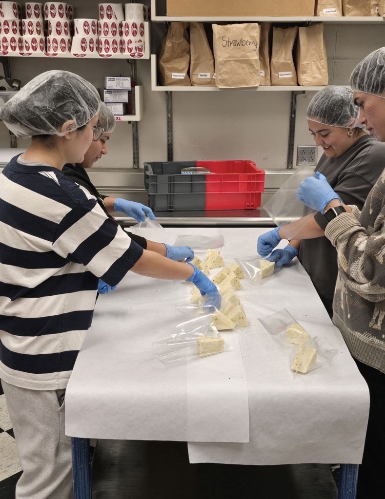 Four college students, wearing hairnets and other food safety gear, standing around a table, packing cut up cheese from Ferdinand's.