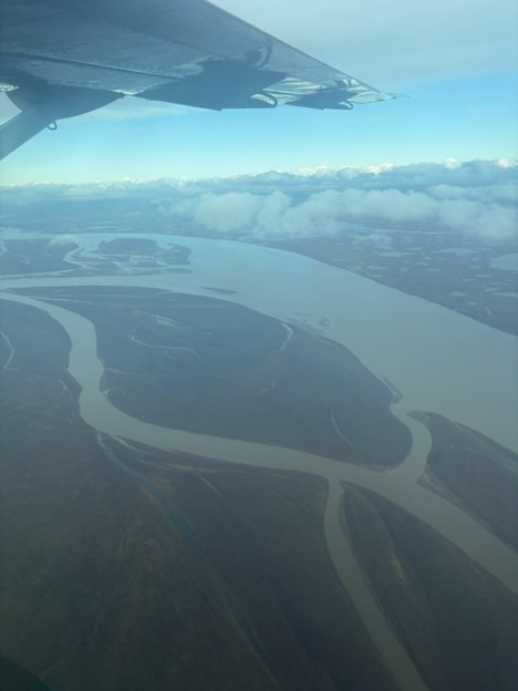 Outside an airplane window, a plane wing is seen stretching across the sky, framing the Yukon River in Alaska where Chinook salmon's habitat lies.