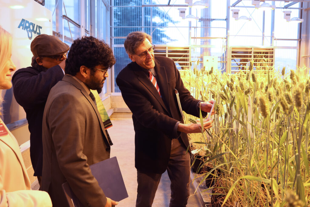 Scot Hulbert and the Indian Consulate representative look at greenhouse samples.