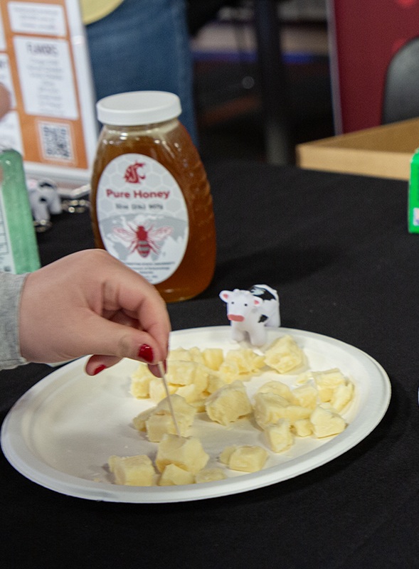 Ferdinand's cheese curds.