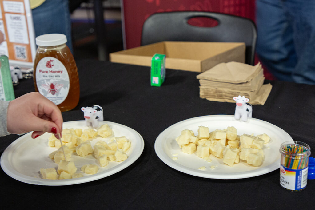 Ferdinand's cheese curds.