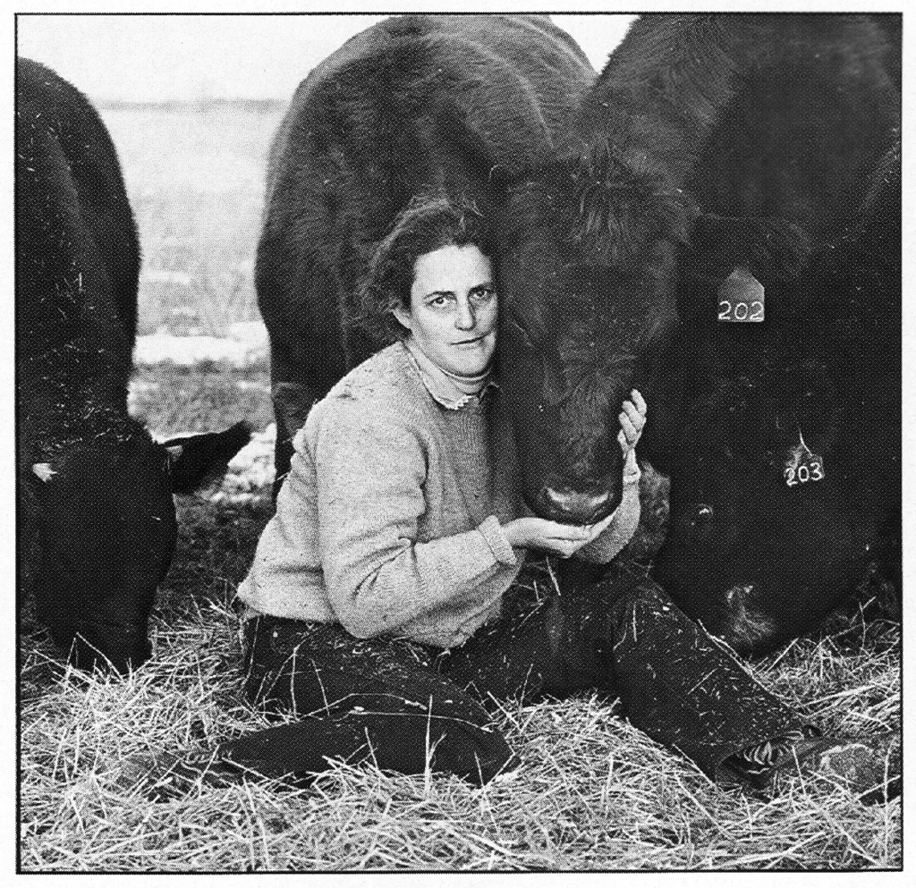 A young Temple Grandin sitting in the hay, surrounded by cows, holding one's nose fondly.