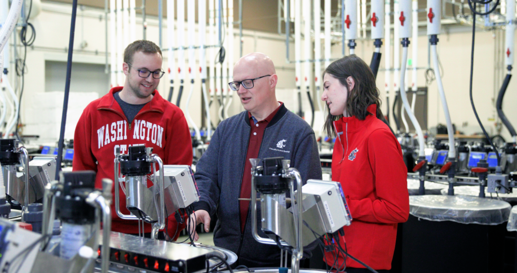 Two WSU students helping WSU Employee, in the Wine department