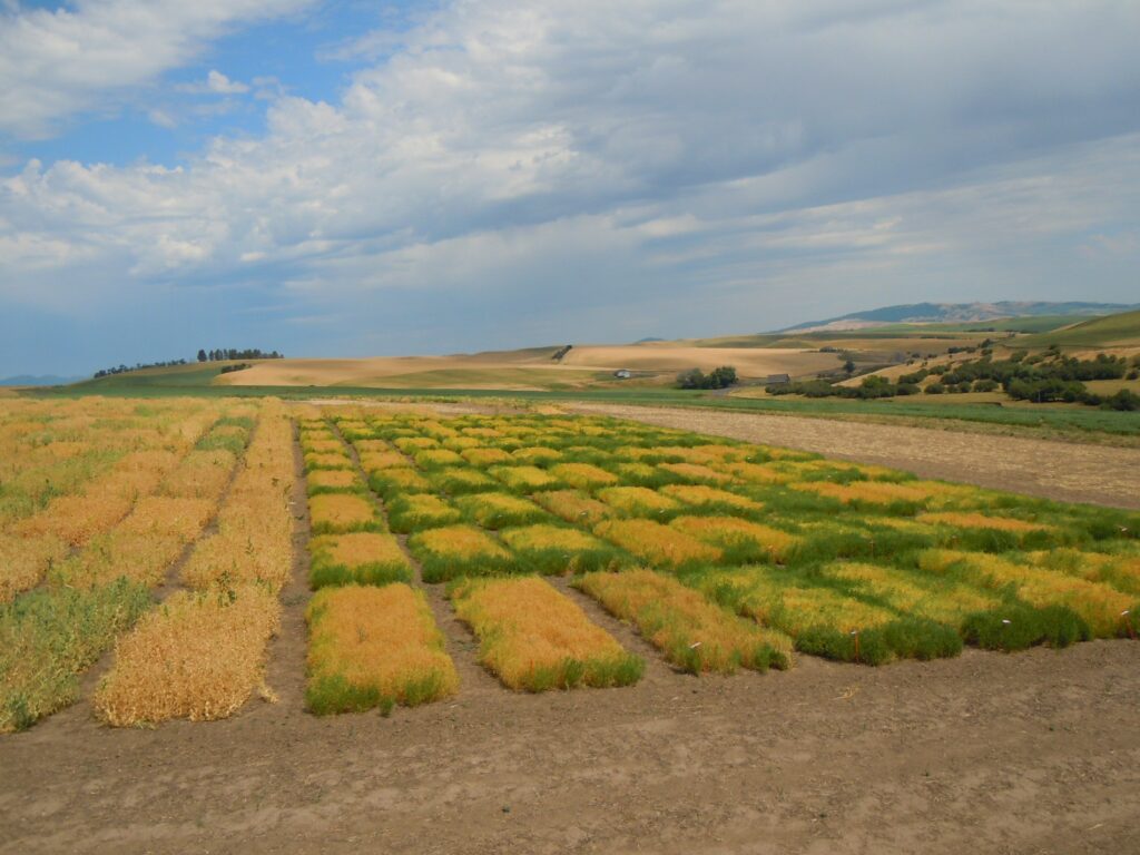 Pulse Endowed Chair campaign puts industry in driver’s seat