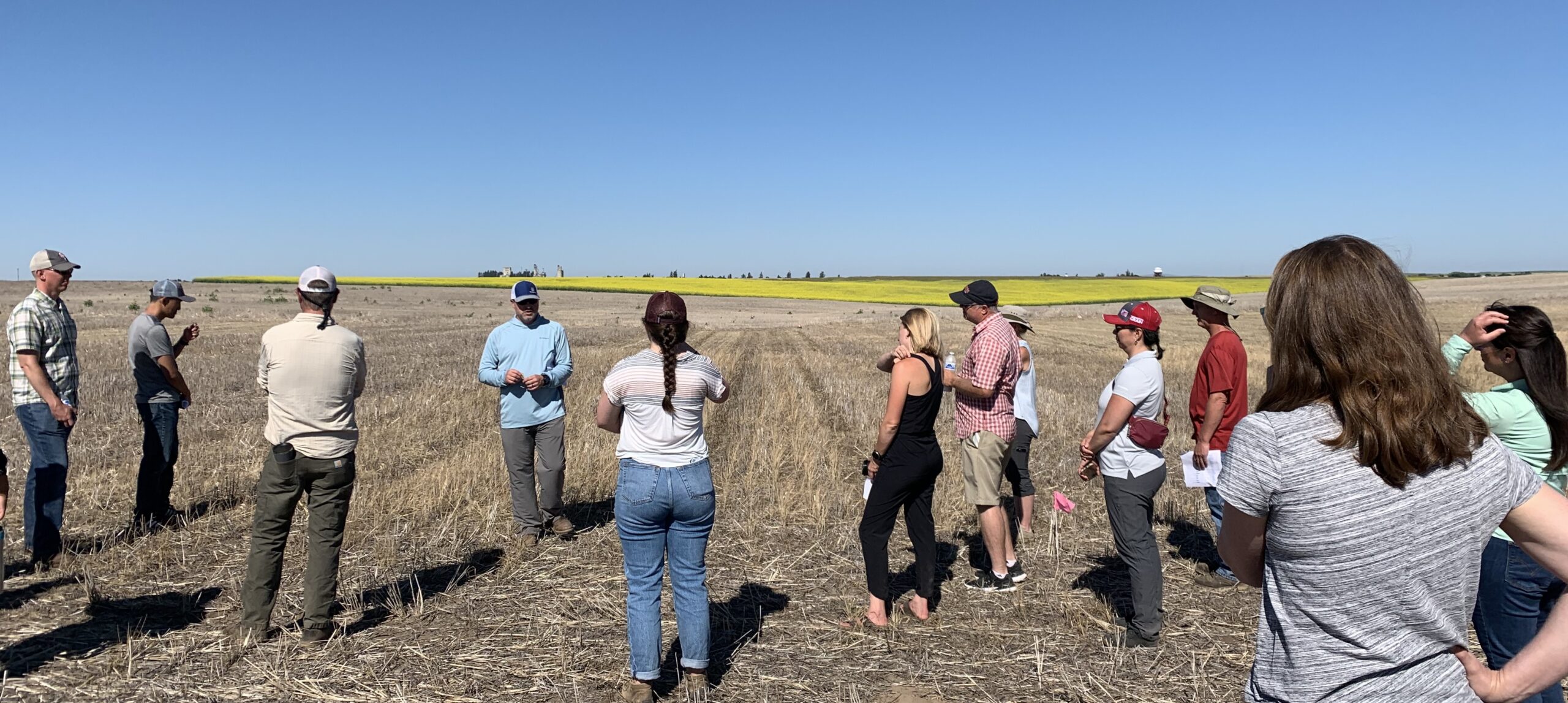 People in a fallow field with flowering canola crop in the background