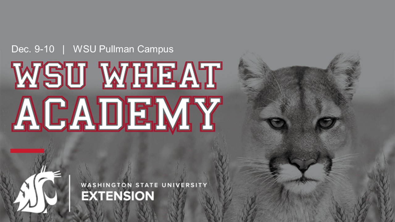 2025 WSU Wheat Academy, Dec. 9-10 on the WSU Pullman Campus. Hosted by the WSU Extension Dryland Cropping Systems team.