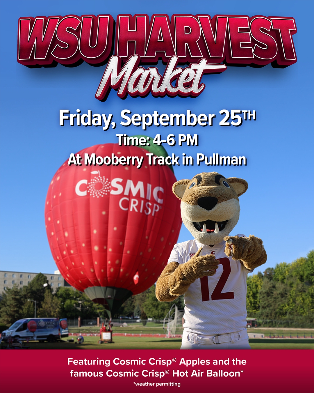 WSU Harvest Market flyer shows mascot Butch T. Cougar pointing in front of the Cosmic Crisp® hot air ballon and van on a green field, with trees, blue sky, and a dorm in the background. Additional text says Friday, September 25th, Time 4-6 PM At Mooberry Track in Pullman. Featuring Cosmic Crisp® Apples and the famous Cosmic Crisp® Hot Air Balloon* *weather permitting