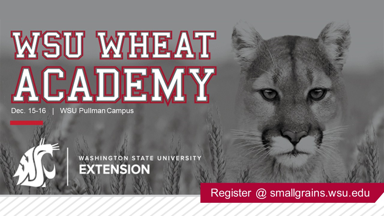 The 2026 WSU Wheat Academy logo with dates Dec. 15 & 16. Register at smallgrains.wsu.edu.