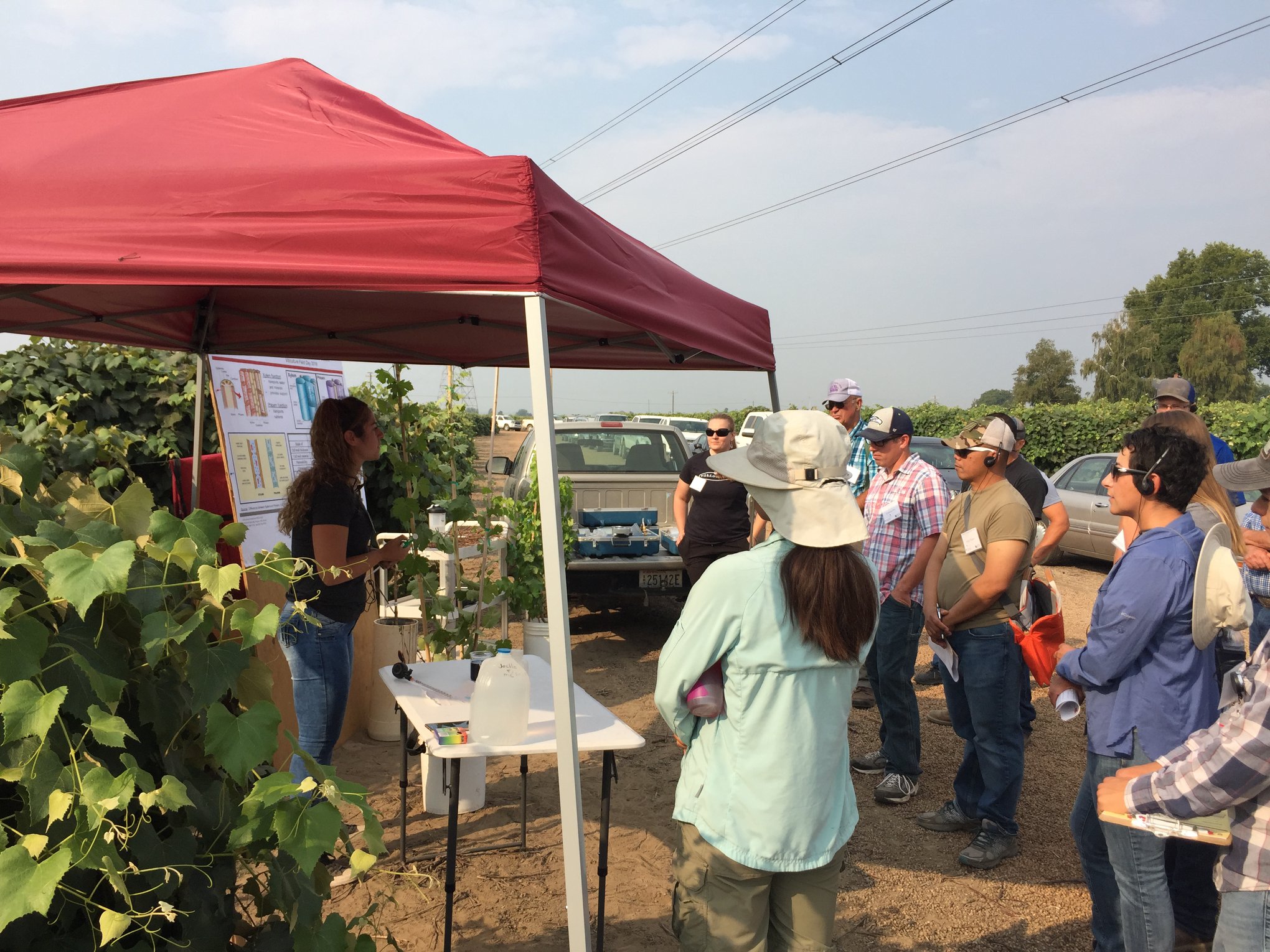 crowd gathers next to tent listening to speaker present information in a vineyard