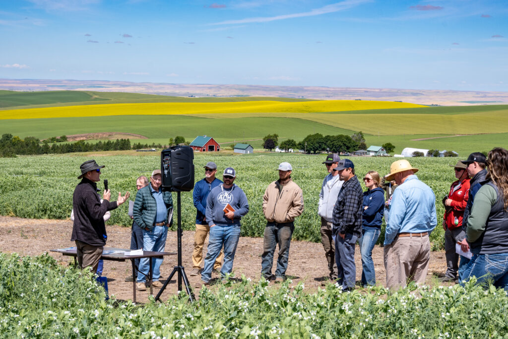 Field tour attendees listening to a presenter while standing in front of colorful green and yellow fields. Photo courtesy of Washington Grain Commission.
