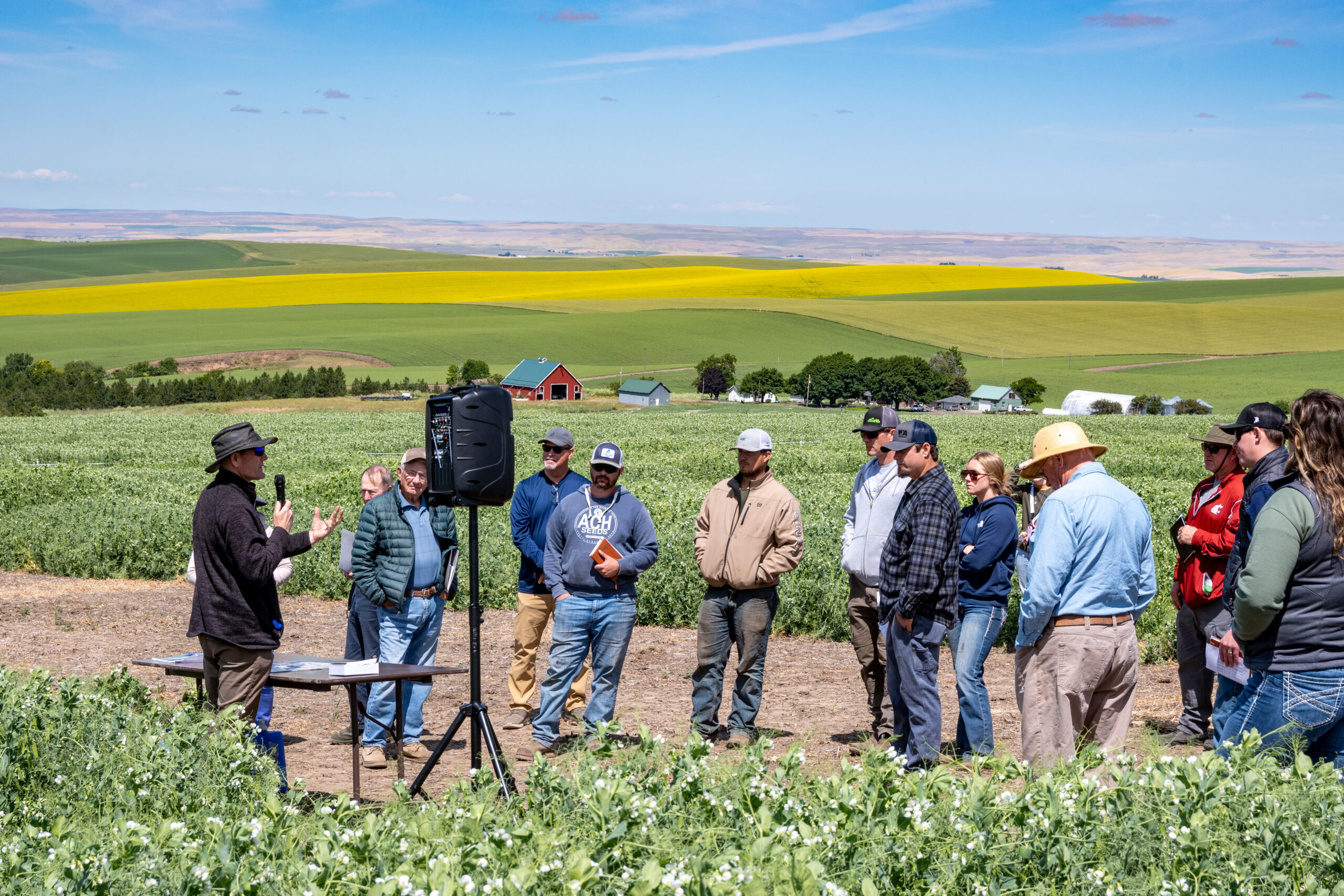Field tour attendees listening to a presenter while standing in front of colorful green and yellow fields. Photo courtesy of Washington Grain Commission.
