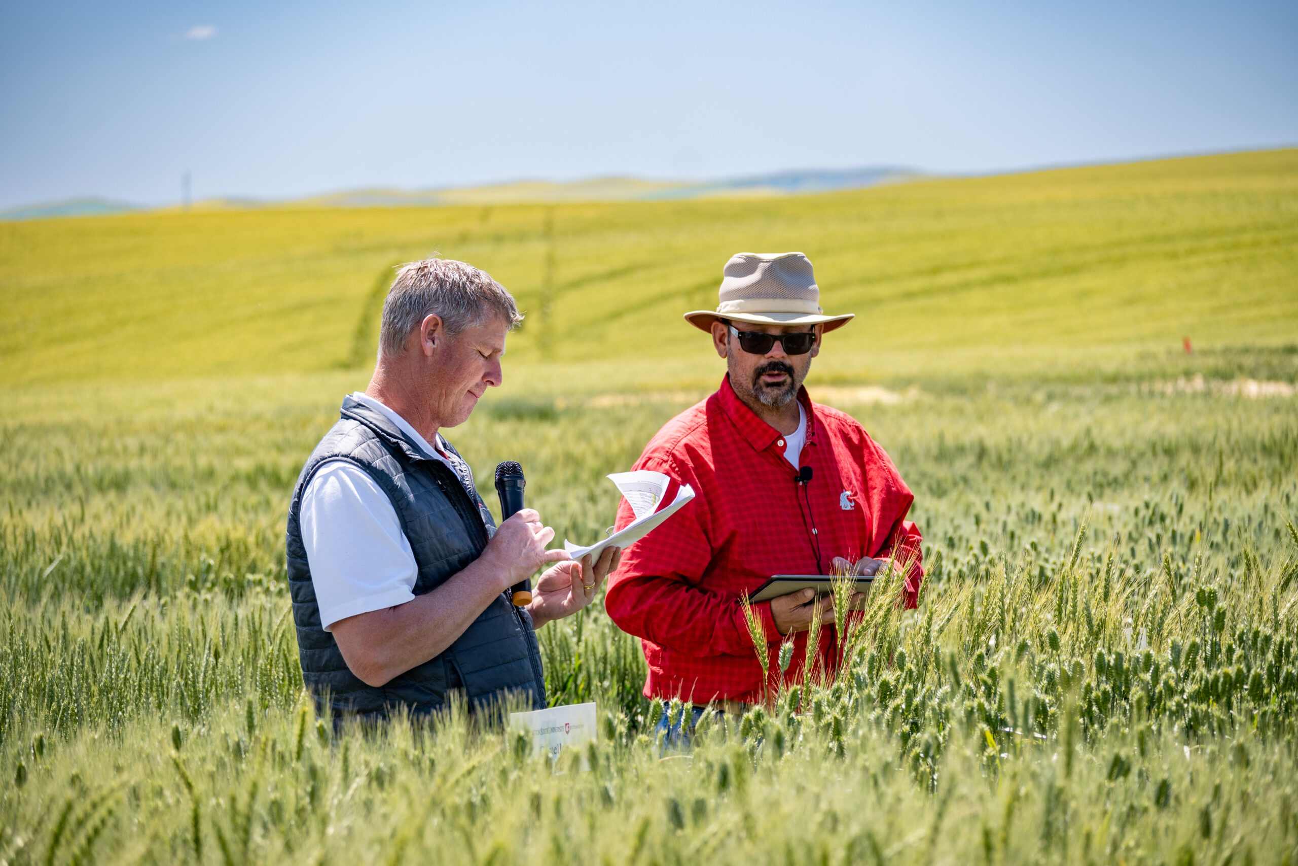 Dr. Mike Pumphrey and Aaron Esser presenting from a wheat field. Photo courtesy of Washington Grain Commission.