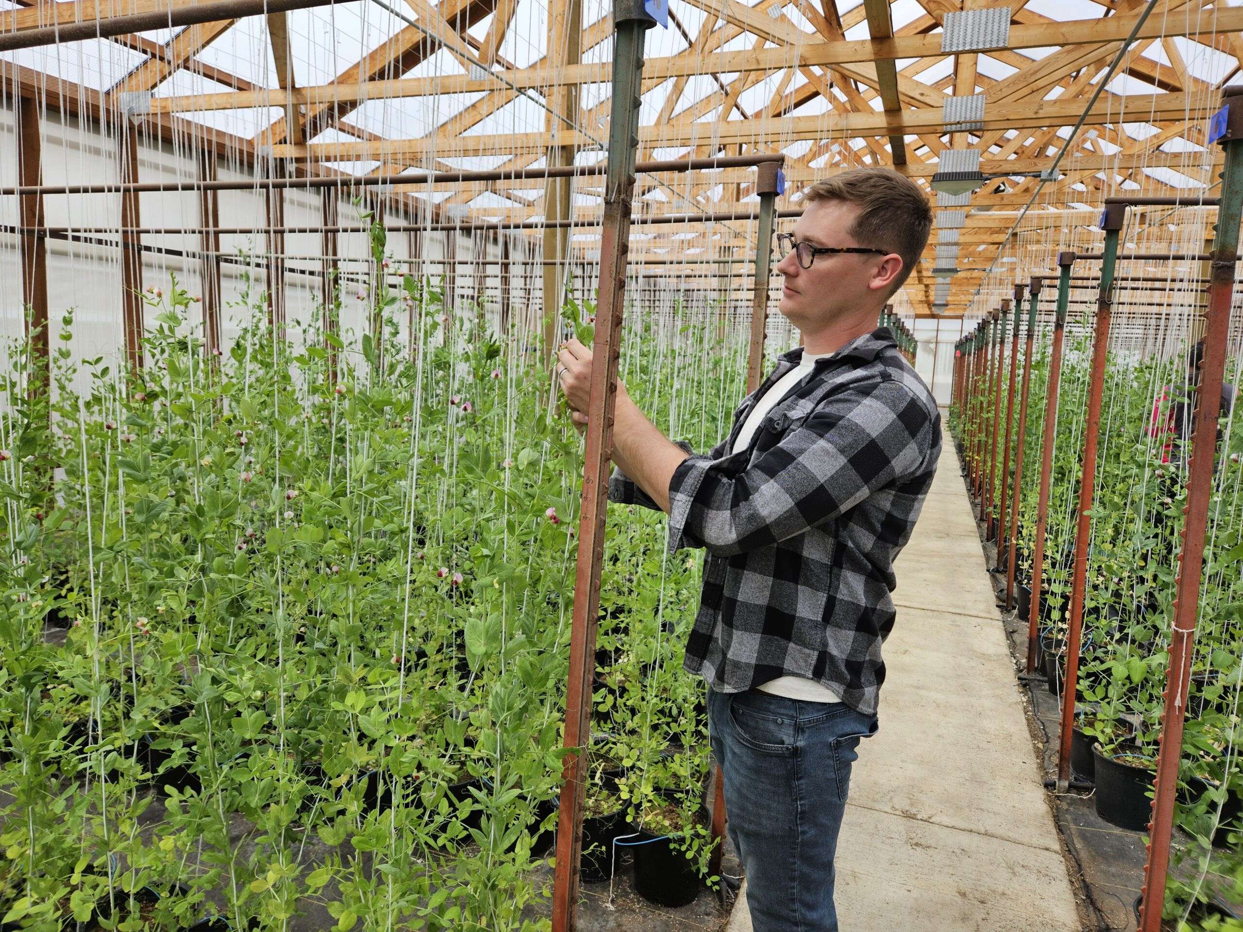 Description in caption. 