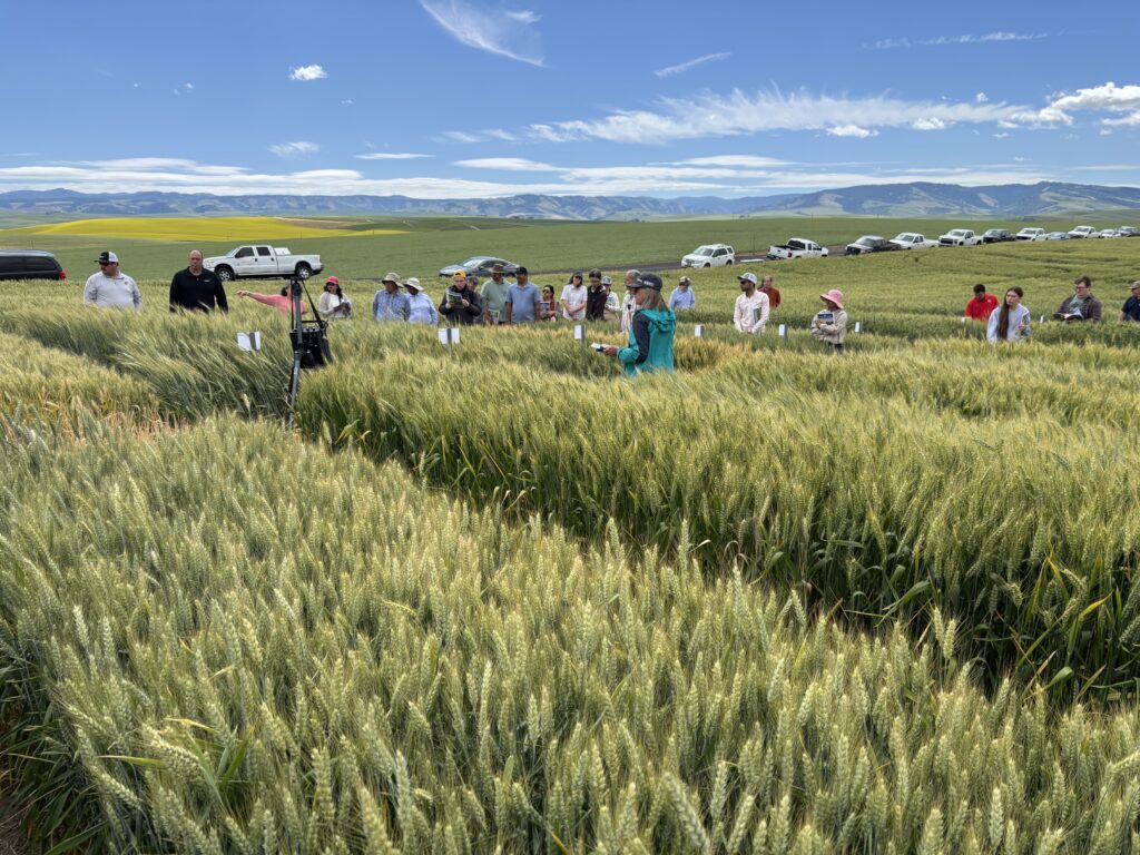Attendees visiting the PNW Crop Tour in 2026.