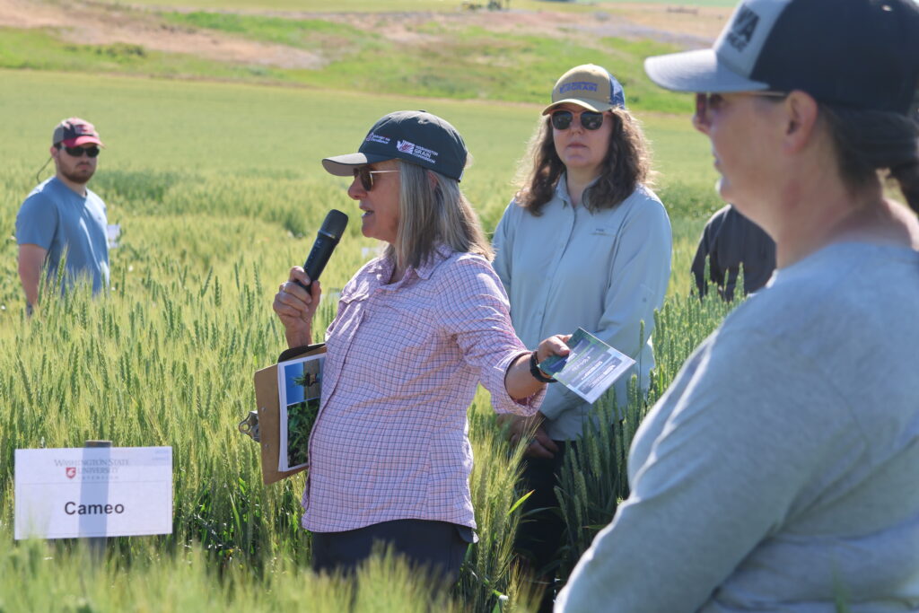 Dr. Kim Garland-Campbell speaking to field day attendees in a field of wheat.