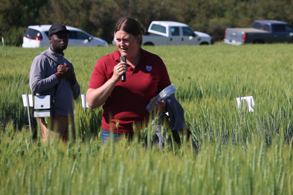 Participants of the 2026 WSU Spillman Farm Field Day standing in a wheat field.