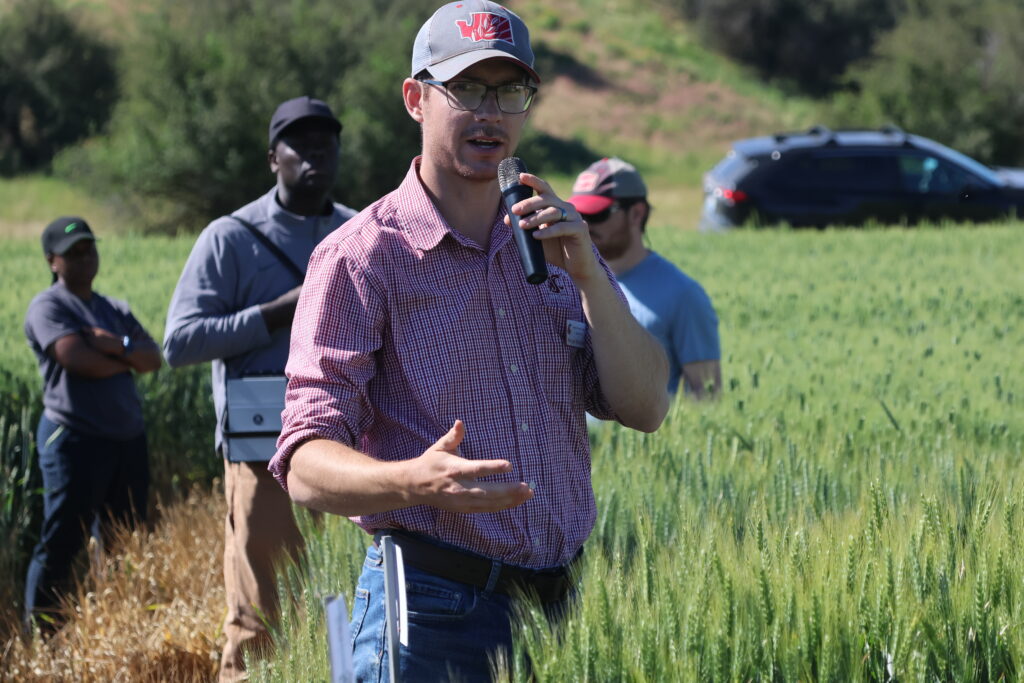Morgan Menaker presenting from a wheat field during the 2026 Spillman Farm Field Day.