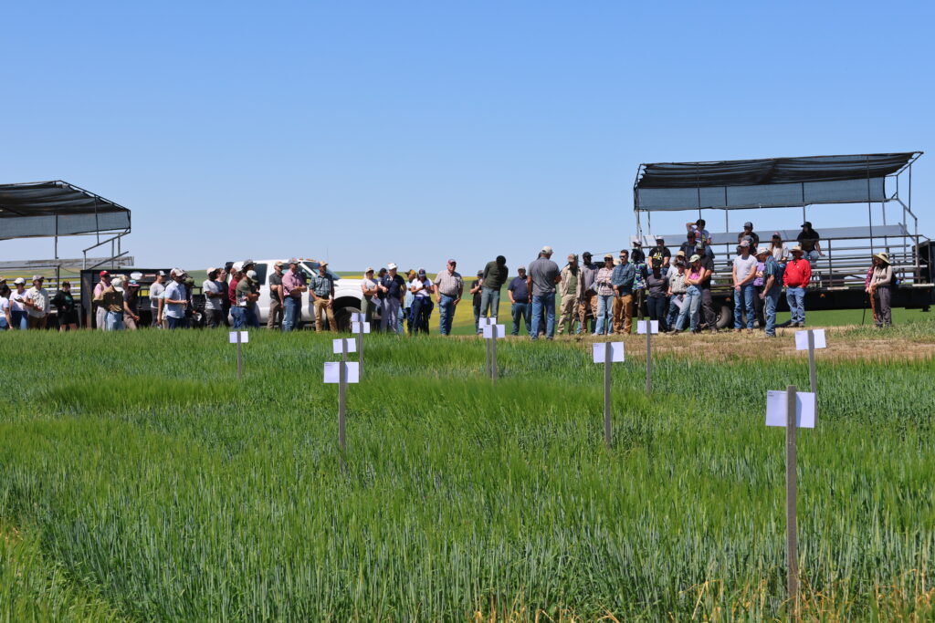 Attendees at the WSU Spillman Farm Field Day.