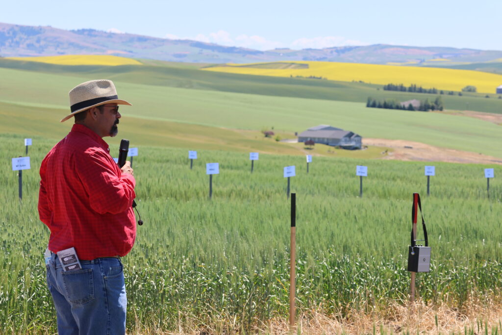 Dr. Mike Pumphrey speaks to attendees of the 2026 WSU Spillman Farm Field Day.
