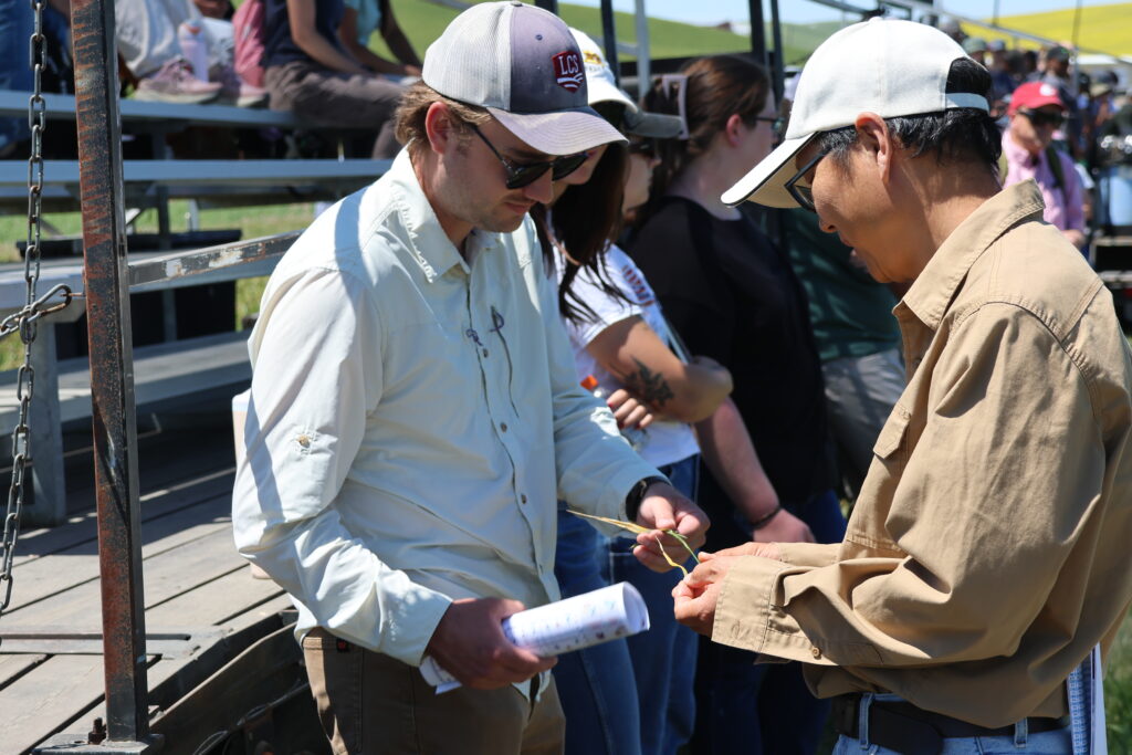 Spillman Farm Field Day attendees examine wheat plants.