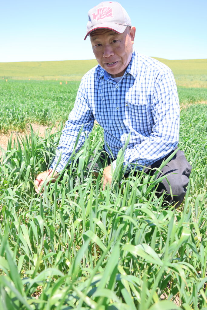 Dr. Xianming Chen at the Spillman Farm Field Day in 2026.