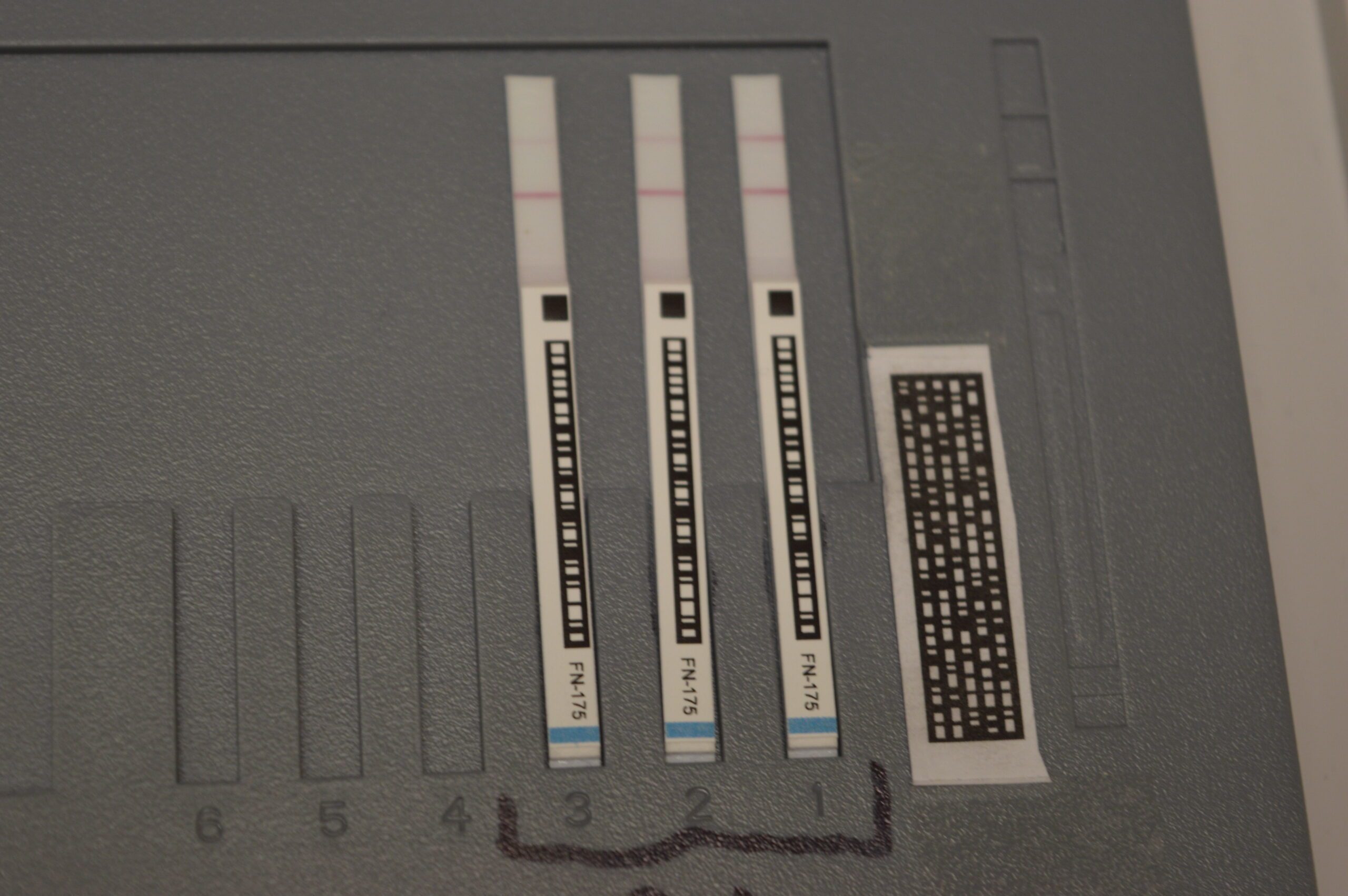 Falling Numbers rapid test strip.