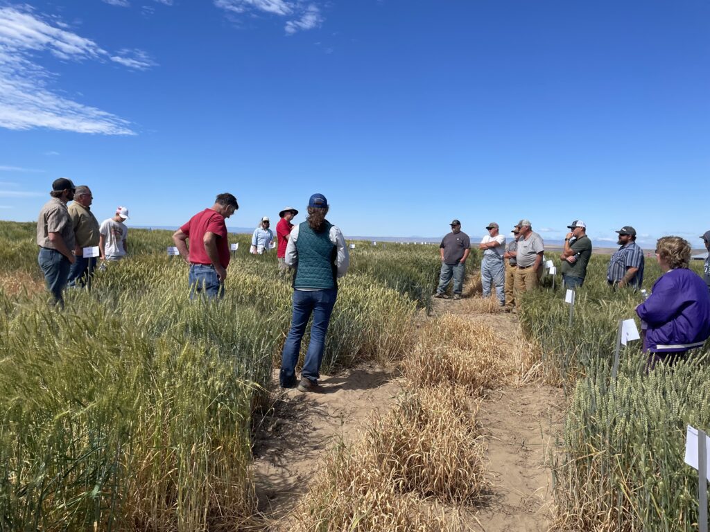 Field day participants talk with Dr. Arron Carter.