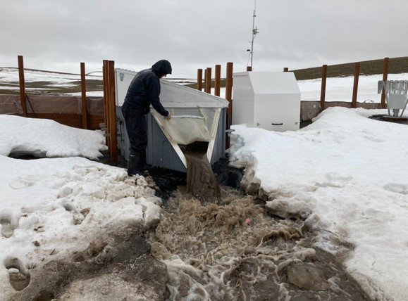 A man operating an H-flume recording surface runoff on February 23, 2025 flow at CAF.  
