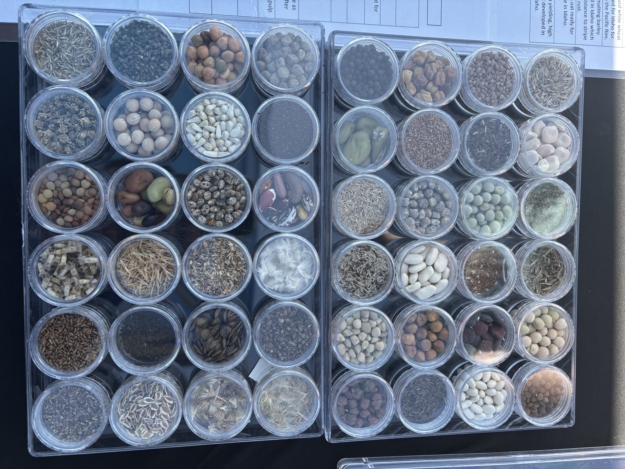 Description in caption. 