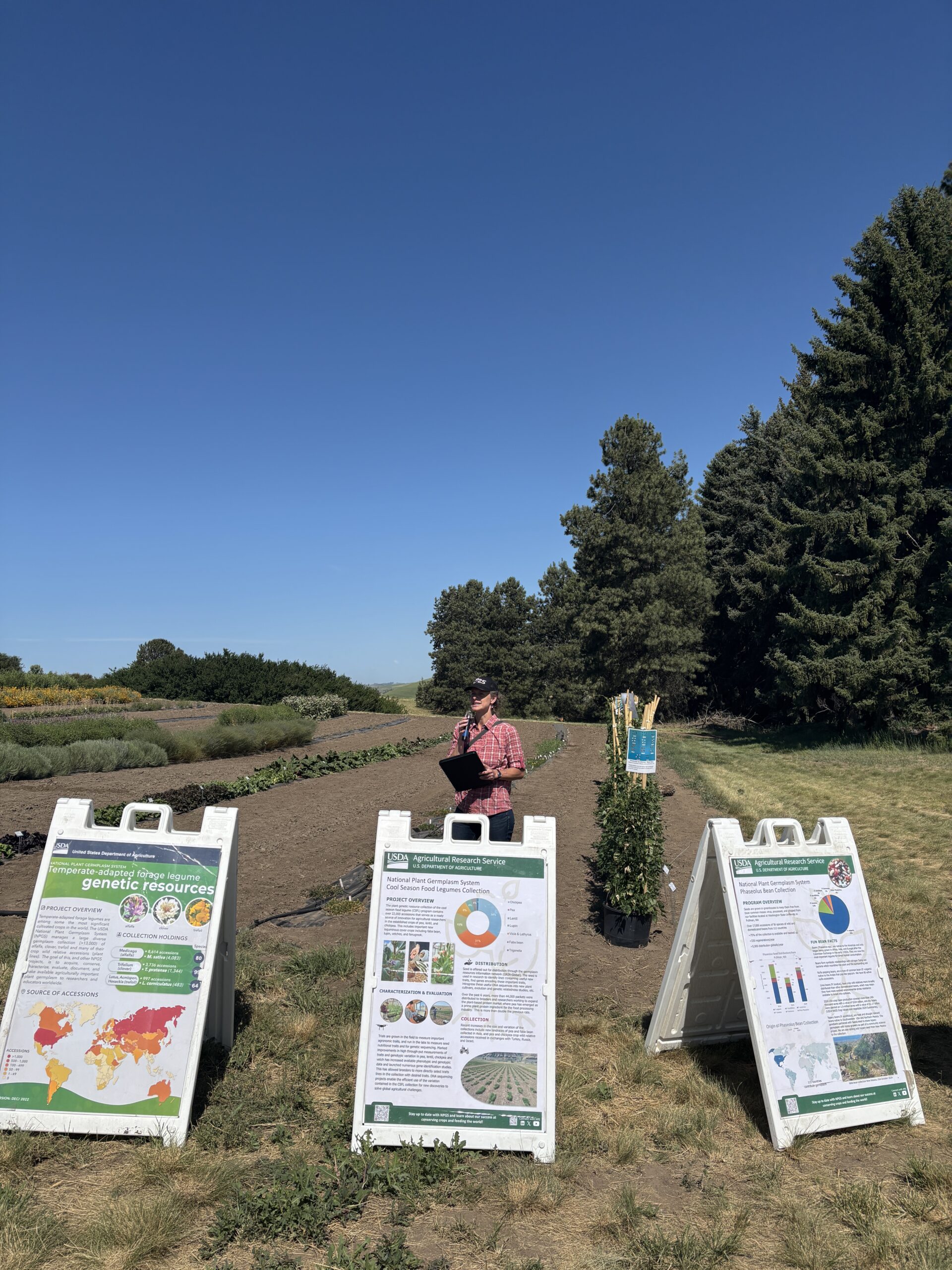 Description in caption. 