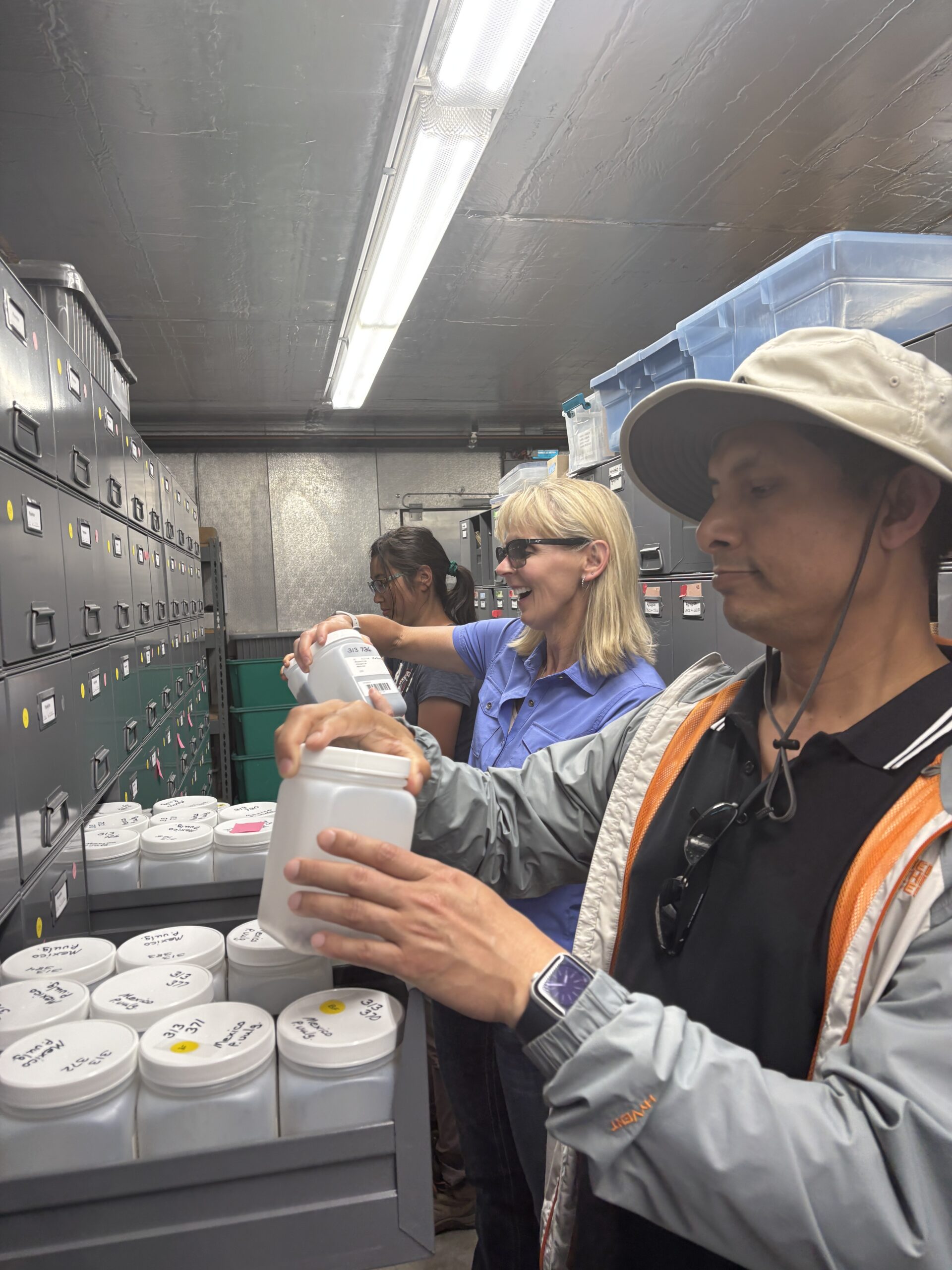 Description in caption. 